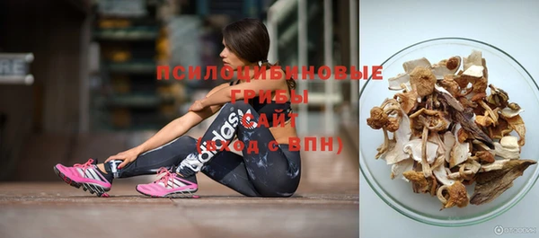 винт Магас
