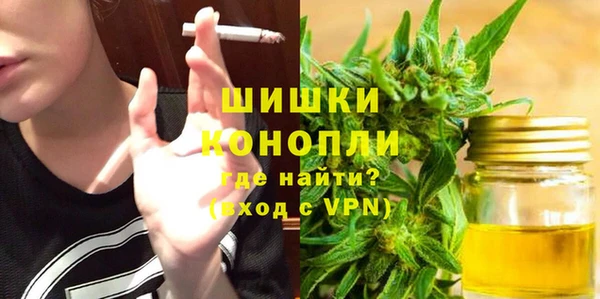 индика Медногорск