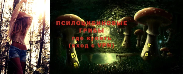 таблы Медвежьегорск