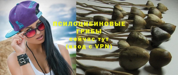 винт Магас